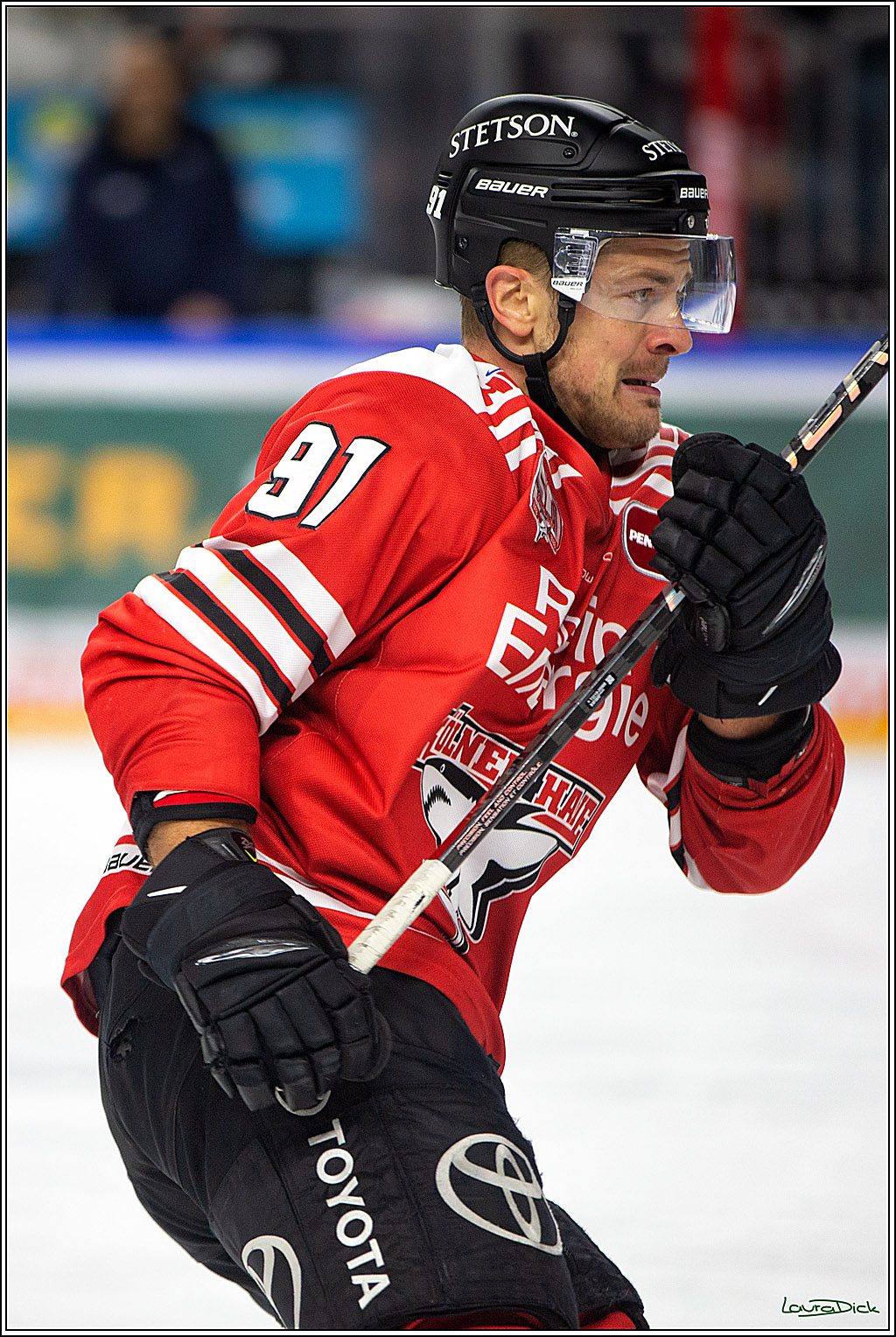 PENNY DEL; Koelner Haie- Schwenninger Wild Wings; Koeln, 06.12.2022